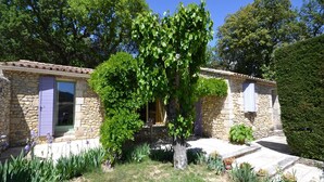 A stone house with a small garden, a tree, and a door. - Villa in Provence near Vaison-la-Romaine (Vaison-La-Romaine)