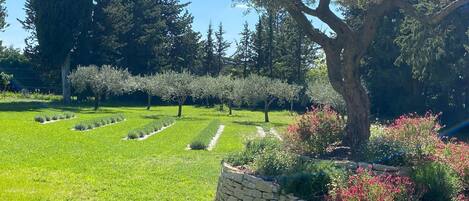 Overnattingsstedets uteområder