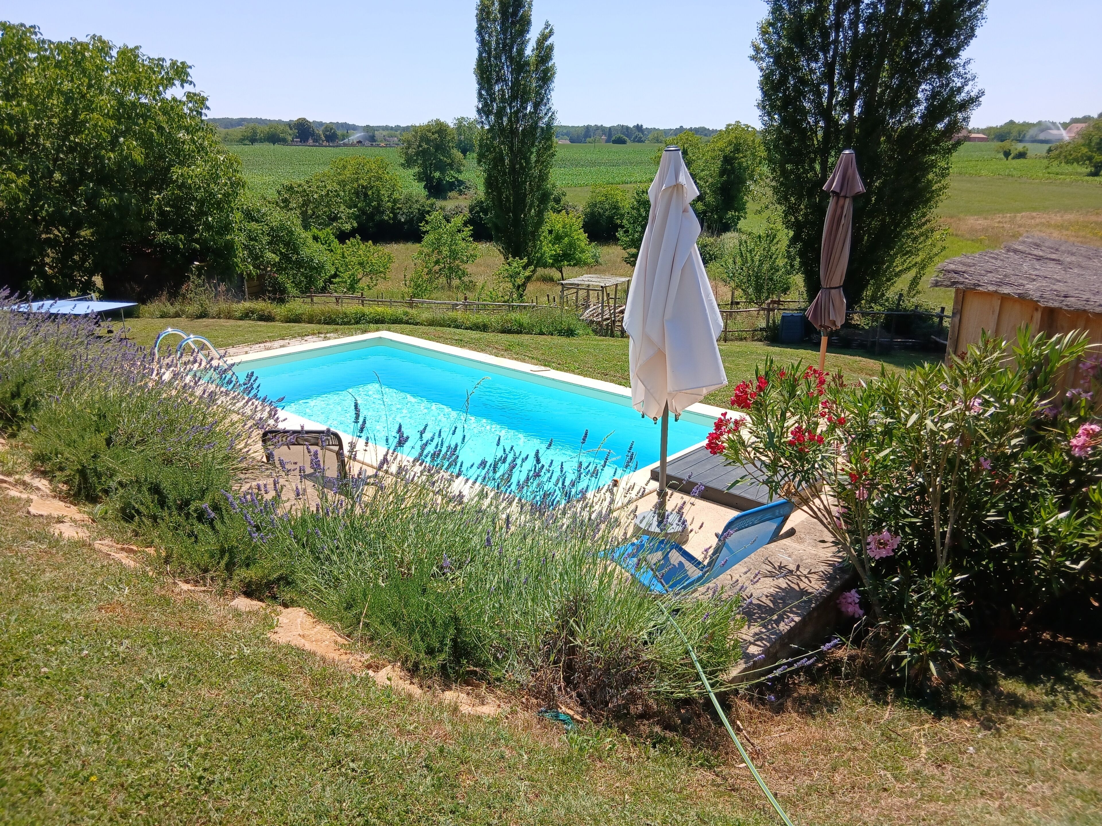 Une piscine avec vue sur un champ verdoyant et des arbres.