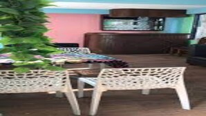Une pièce comprenant une table à manger, des chaises, une plante et un téléviseur.