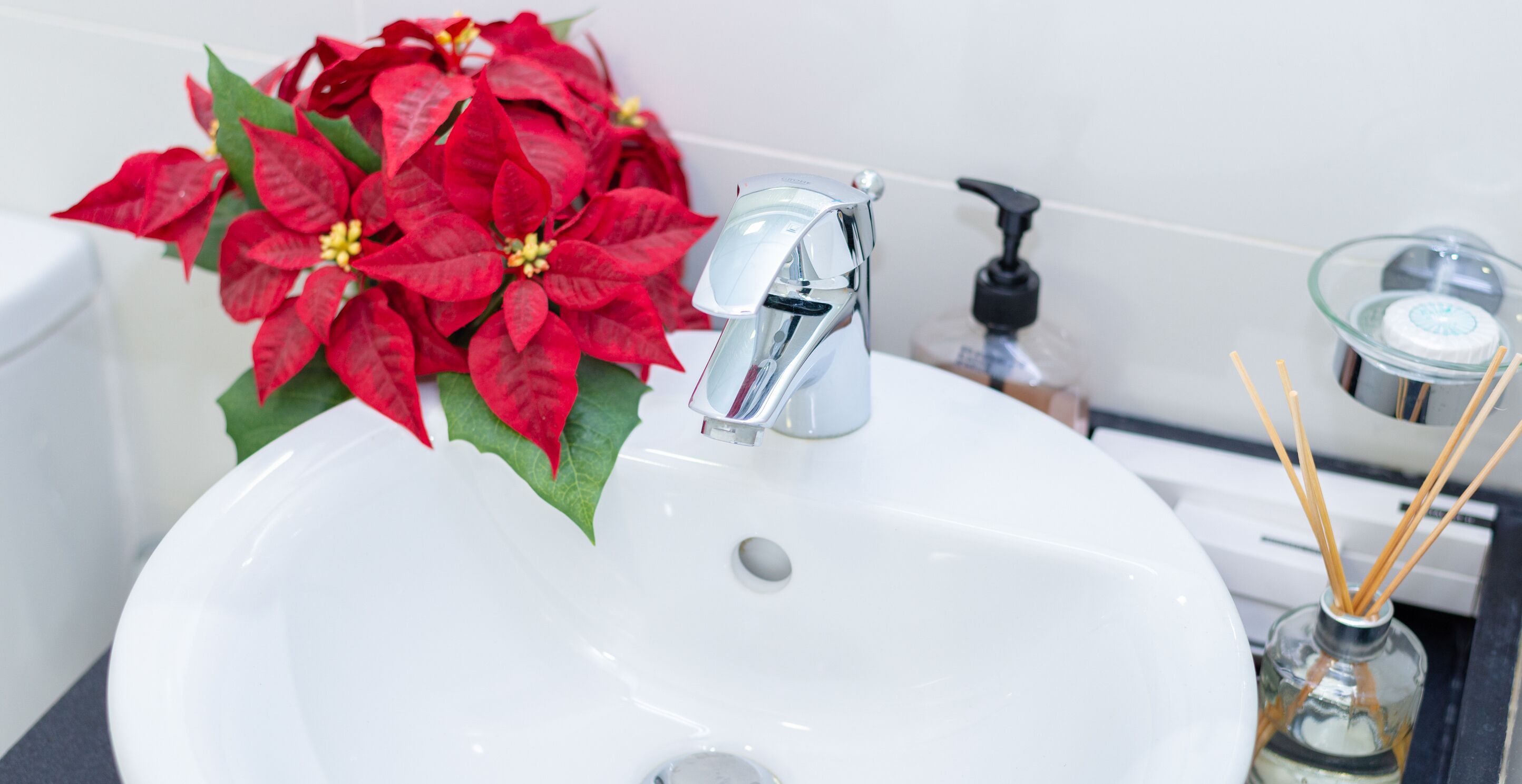 Marco Polo - Colorful Charm with Captivating City Views