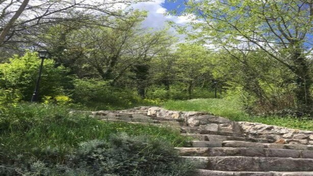 A stone staircase surrounded by lush greenery and trees. - Apartment in Knin near Knin Fortress (Knin)