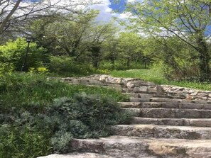 A stone staircase surrounded by lush greenery and trees.