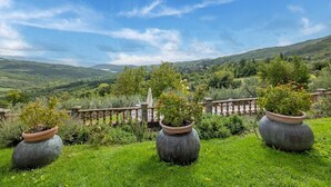 Un jardin luxuriant, agrémenté de plantes en pot, offrant une vue pittoresque sur des collines ondulantes et un lac lointain.