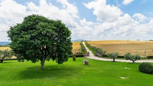 Un paysage verdoyant avec un grand arbre, un sentier de pierres et une vue lointaine sur des collines.