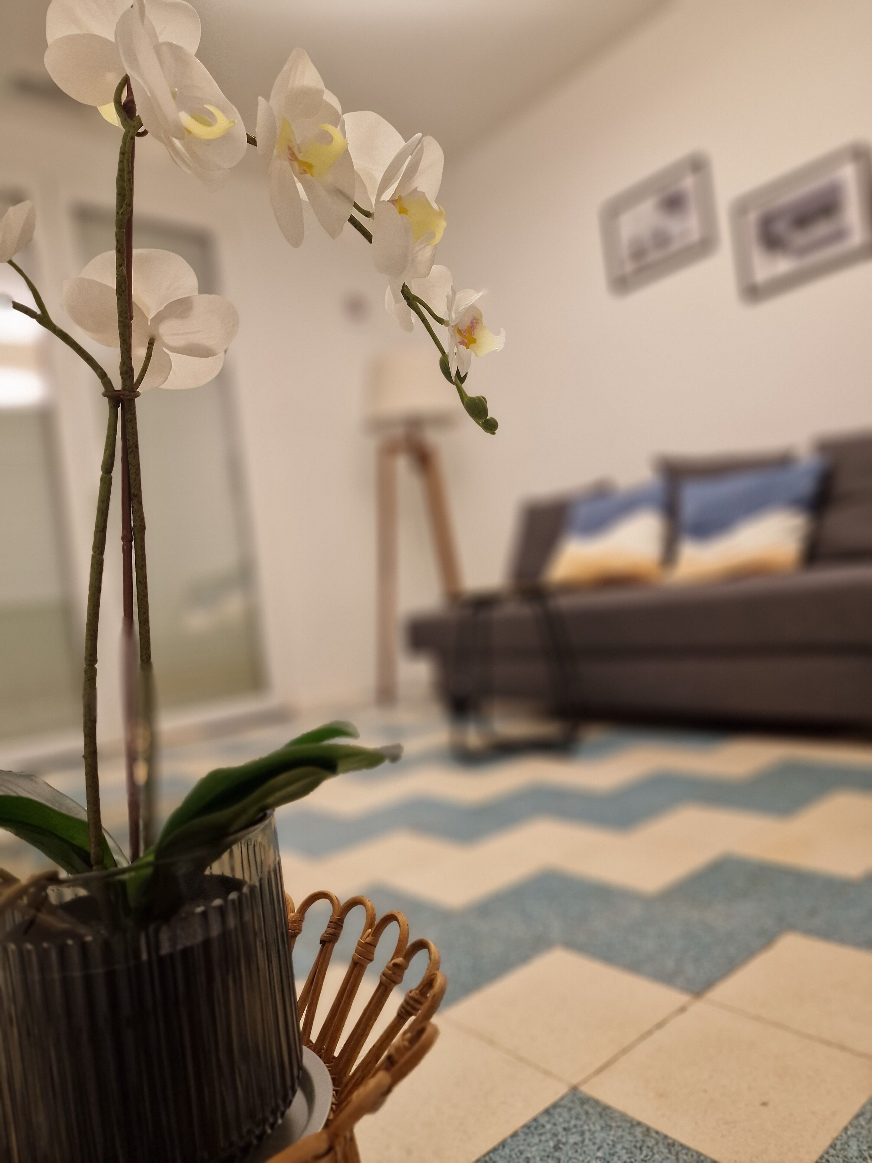 Una orquídea en maceta sobre un piso estampado, con un sofá y adornos de pared al fondo.