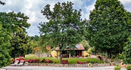 Cottage in Tuscany with private pool and air conditioning