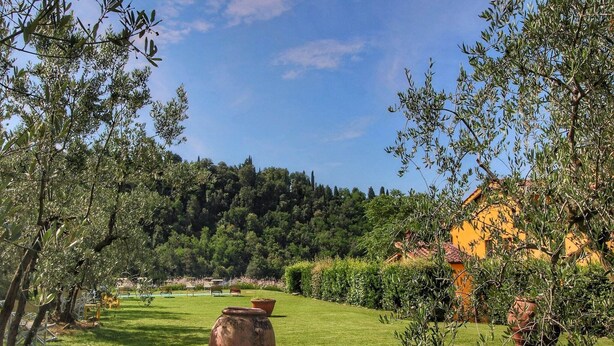 A garden with a large terracotta pot, a yellow building, and a forested hill in the background.