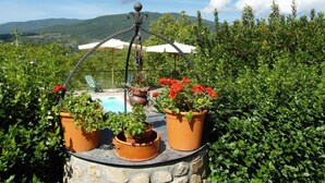 A stone table with terracotta pots containing plants and red flowers, surrounded by lush greenery. - Scenic Stay in Restored Retreat (Arezzo)