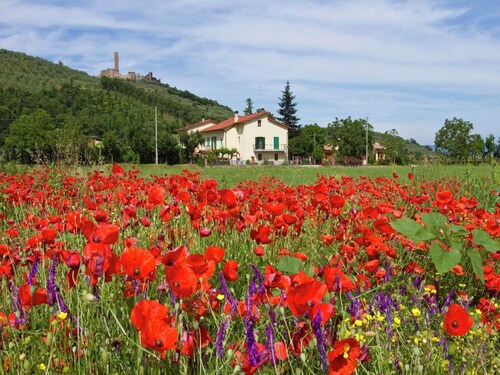 Ruhiges Bauernhaus in Castiglion Fiorentino