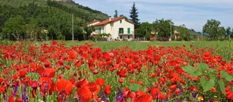 Serenity farmhouse in Castiglion Fiorentino