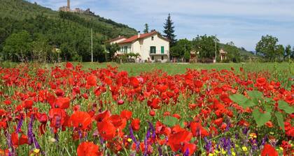 Serenity farmhouse in Castiglion Fiorentino