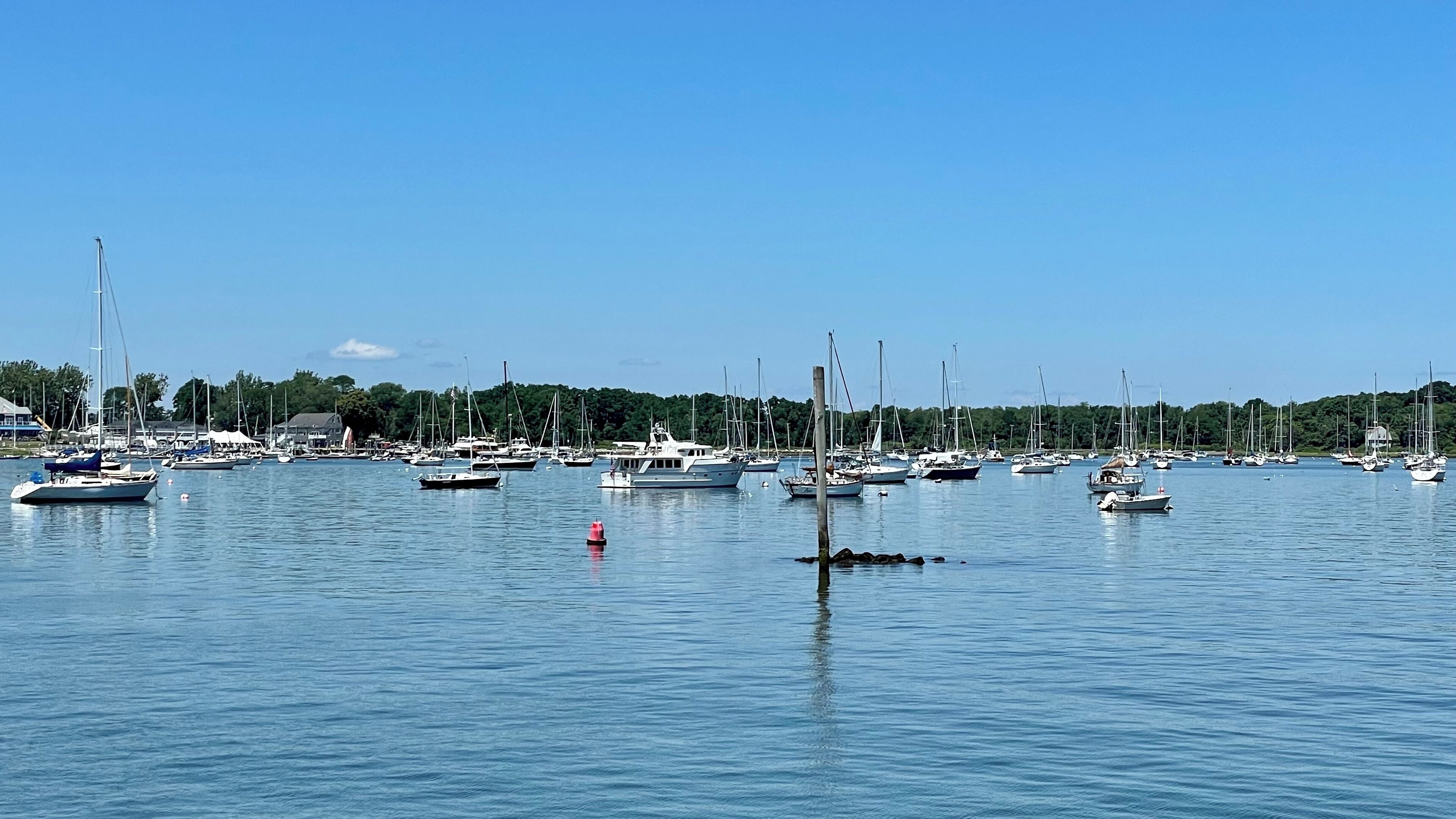 Bristol harbor