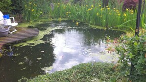 Uno stagno circondato da vegetazione e un pontile di legno con sedie.