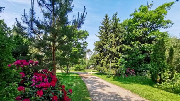 A paved pathway through a lush garden with various trees and flowering plants. - Holiday Home in Holten near Lake IJssel (Holten)