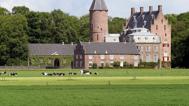 A large, historic building with a prominent tower and multiple chimneys, surrounded by a well-maintained green field with cows grazing. - Tranquil Forest Retreat (Dalfsen)