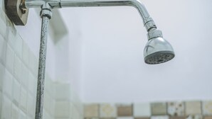 A shower with a curved hose and a wall-mounted control.