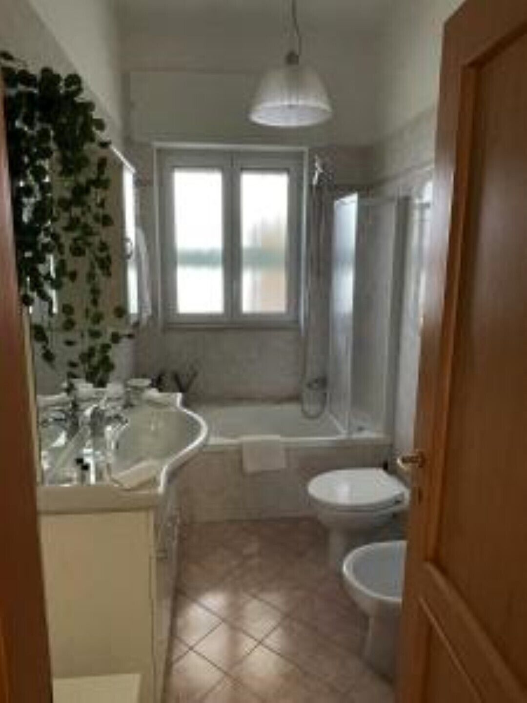 Asciugacapelli, bidet, asciugamani, sapone