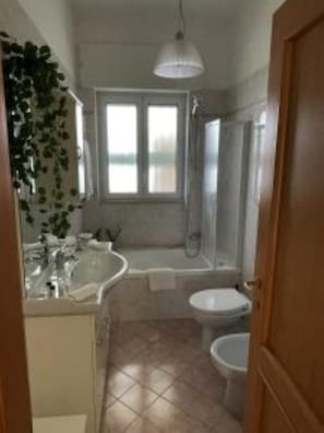 Hair dryer, bidet, towels, soap