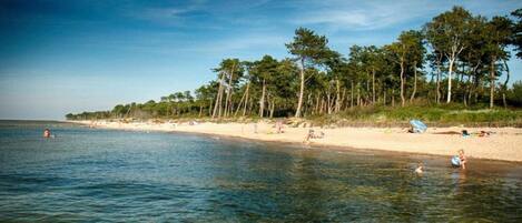 A beach with clear water, trees, and people.