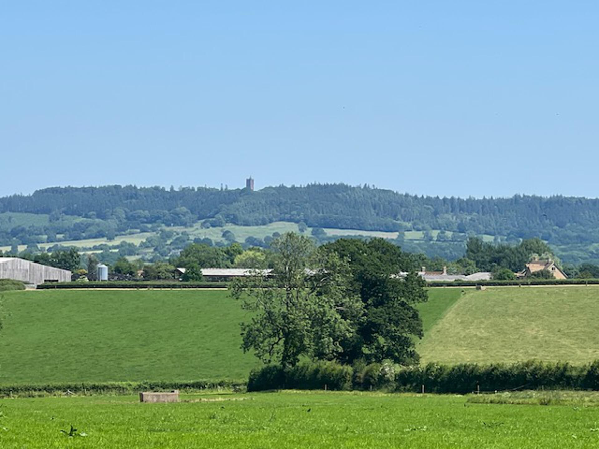 Landelijk landschap met groene velden, een grote boom en een gebouw op een heuvel.