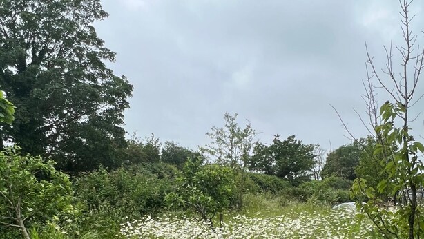 스튜디오 | 숙박 시설 구내