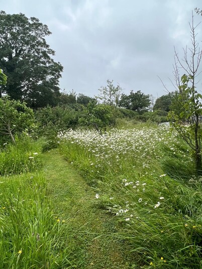 Stunning 1-bed in Bruton Somerset, Stunning Views