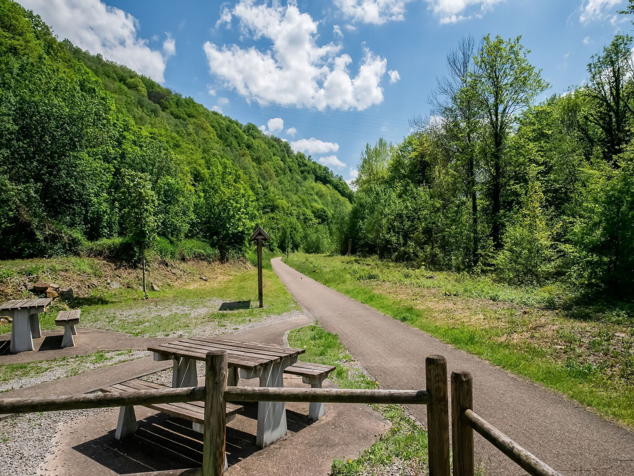 A picnic area with benches and a paved path surrounded by lush greenery and trees.