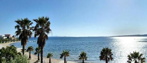 بالقرب من الشاطئ