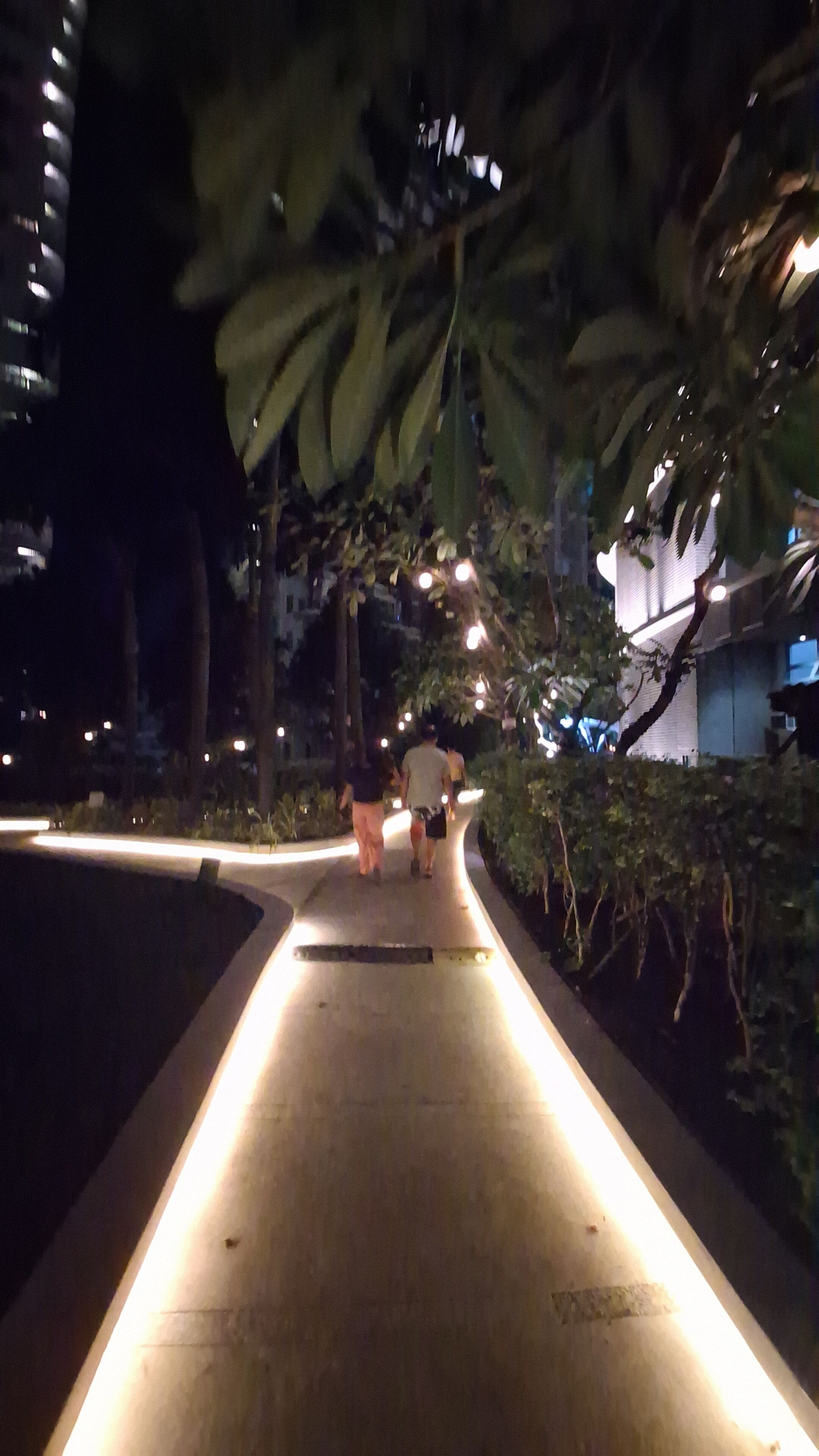 A nighttime pathway with overhead lighting, surrounded by greenery and buildings in the background.