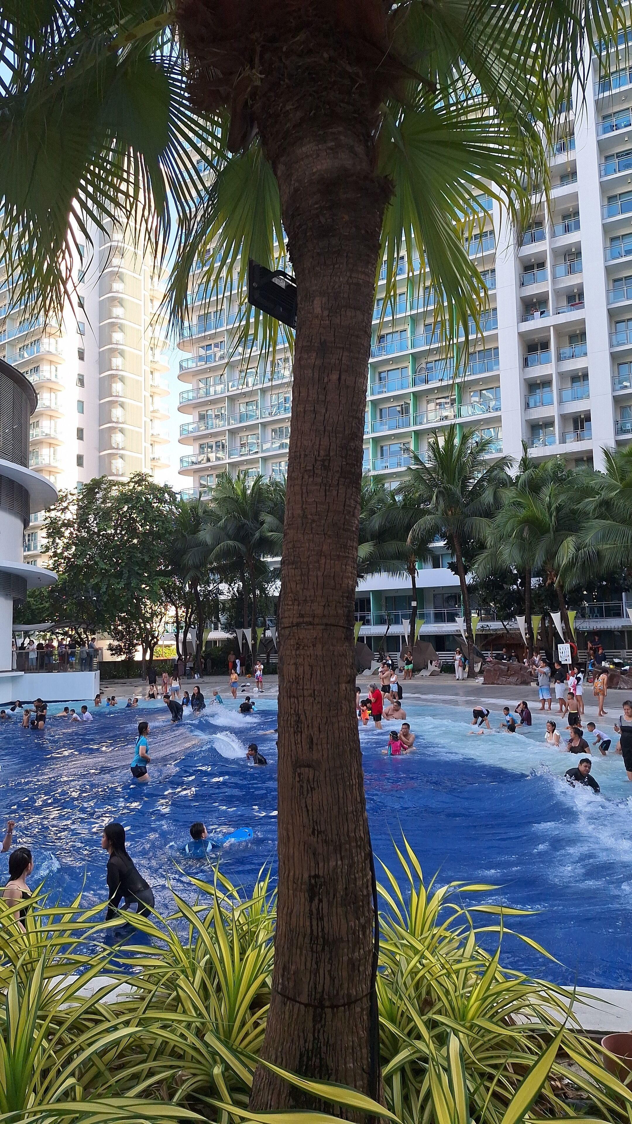 A swimming pool area with palm trees and a high-rise building in the background.