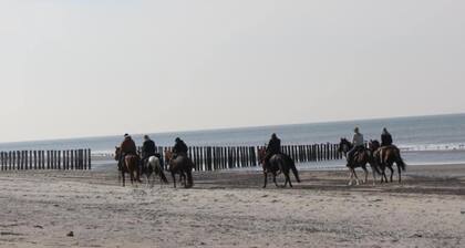 Wohnung in Renesse nahe Strand