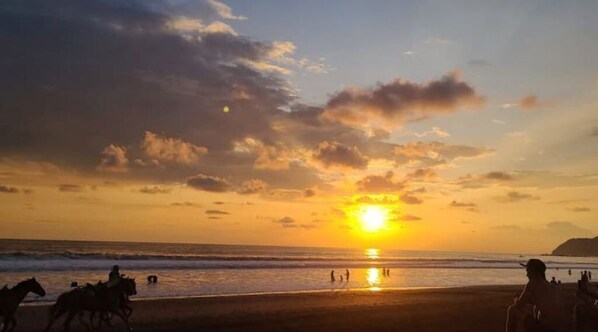 Camastros y toallas de playa