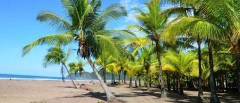 Sun loungers, beach towels