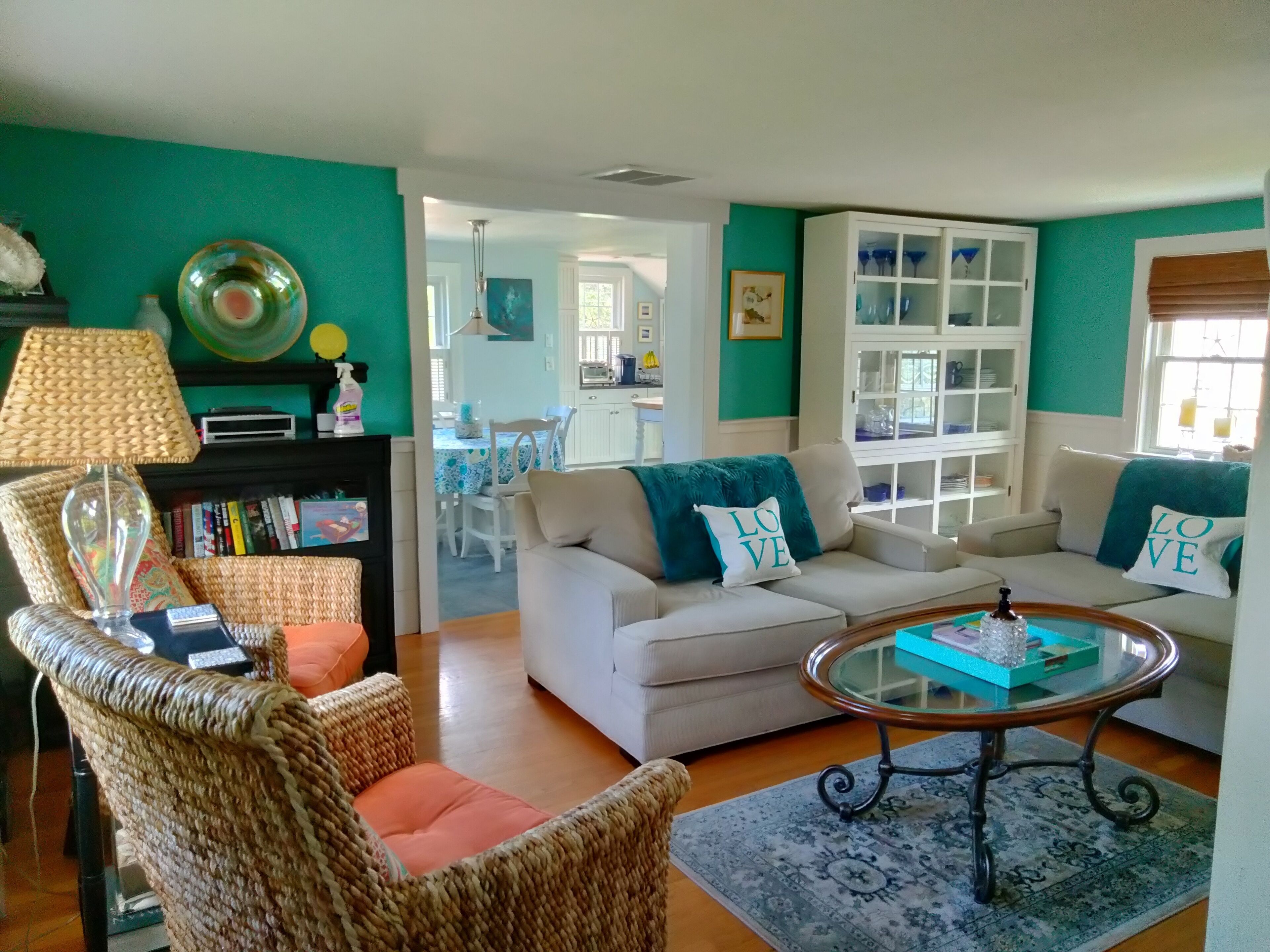 智能電視、壁爐、DVD 播放機、書籍