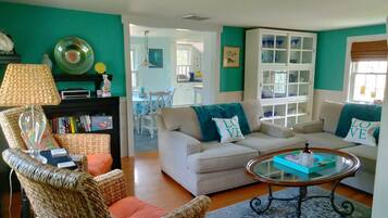 智能电视、壁炉、DVD 播放器、书