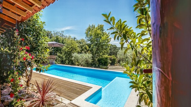 Piscina com deck de madeira e vegetação ao redor.