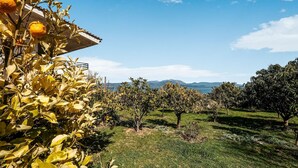 An orchard with citrus trees and a clear view of the sea and mountains in the background. - Holiday villa with sea view in Paralia Avlidas (Tanagra)