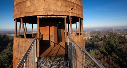 Detached bungalow with fireplace, in Appelscha