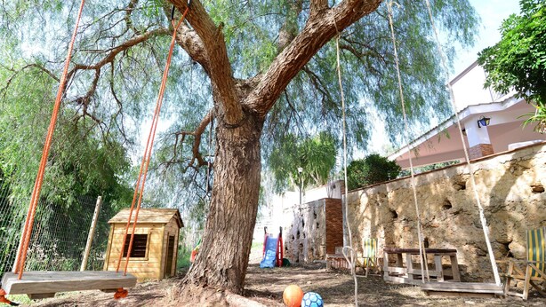 Una casa en el árbol, columpios y una zona de juegos con un puente de cuerda.