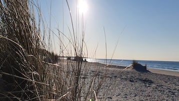 Una playa con pastos altos y un cielo despejado.