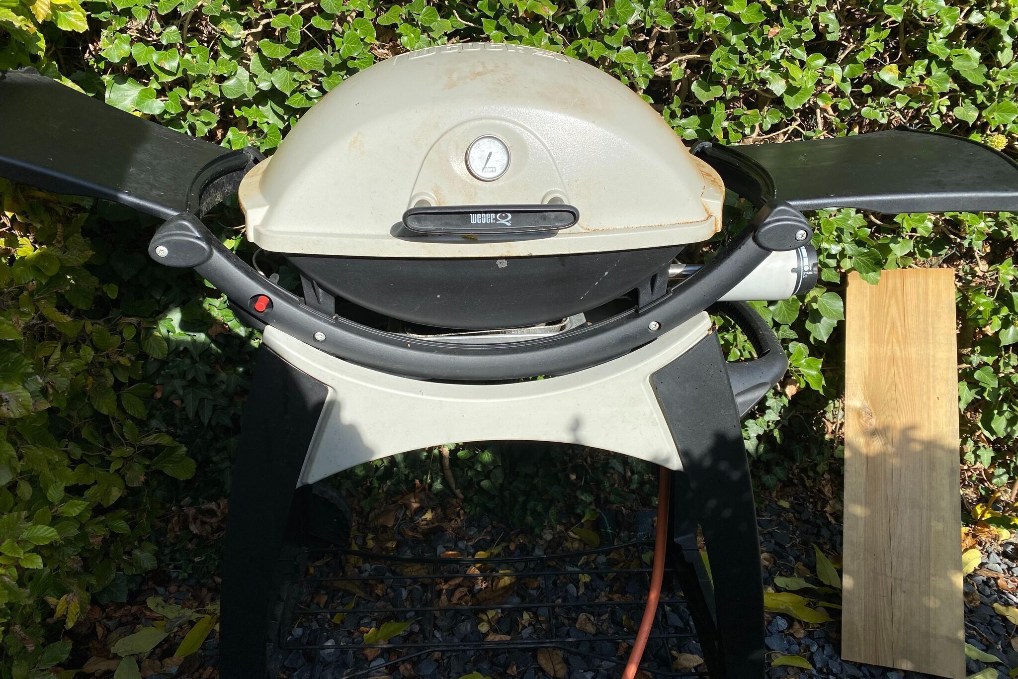 A portable grill with a digital thermometer and control panel, set against a backdrop of green foliage.