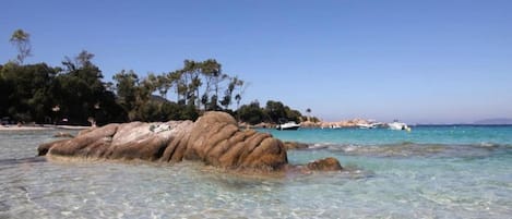 Vlak bij het strand