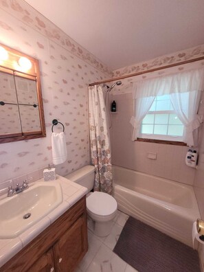 Shower, hair dryer, towels, soap - Home in State College (State College)