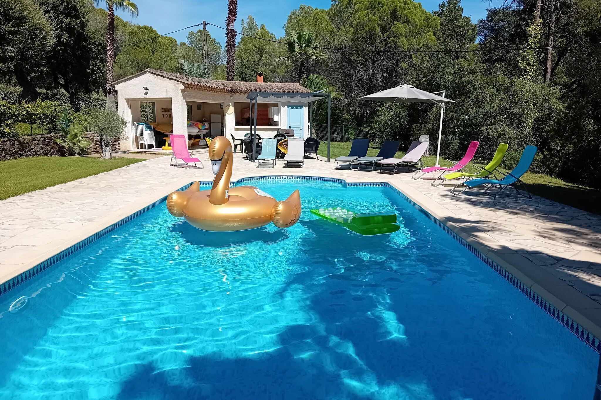 A swimming pool with inflatable swan and duck toys, surrounded by lounge chairs and a house with a patio.