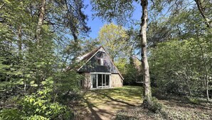 Una casa rodeada de árboles con un sendero despejado que lleva a ella.