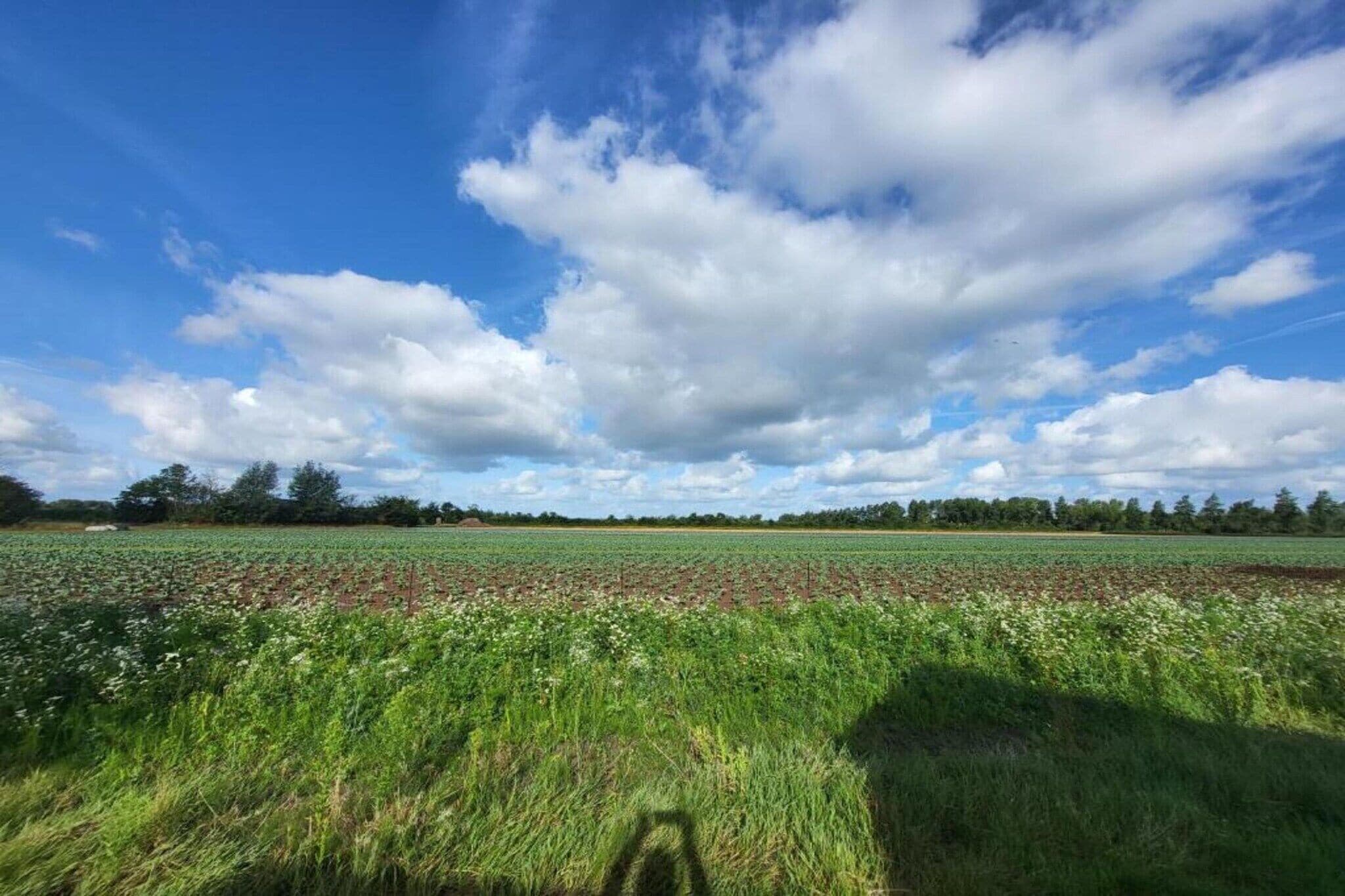 A vast field with a clear sky and scattered clouds.