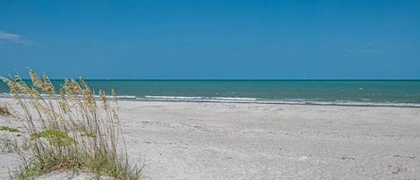 En la playa, camastros y toallas de playa