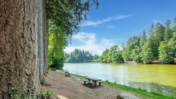 A lakeside picnic area with benches and a picnic table, surrounded by trees and a clear sky. - Gite in the heart of Saône et Loire (DOMPIERRE LES ORMES)