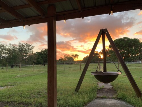 Horsing Around In the country